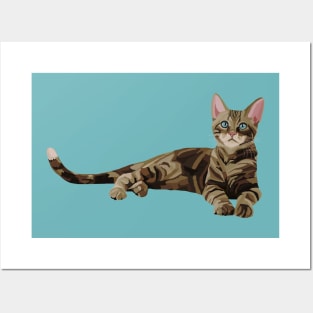 Cute Brown Tabby Kitten Posters and Art